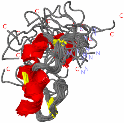 Image NMR Structure - all models