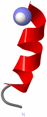 Image NMR Structure - model 1