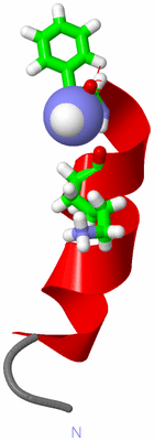 Image NMR Structure - model 1, sites