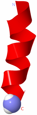 Image NMR Structure - model 1