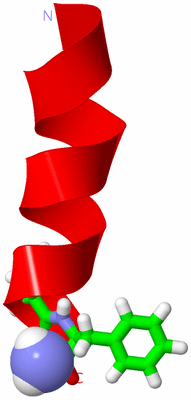 Image NMR Structure - model 1, sites