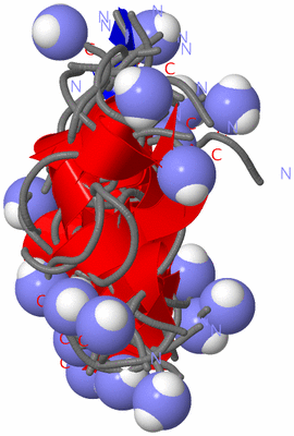 Image NMR Structure - all models