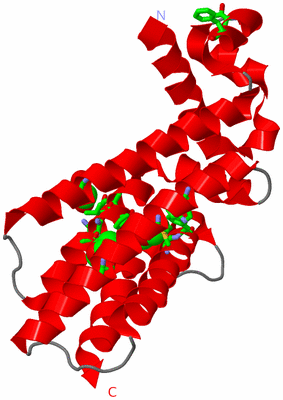 Image Asym. Unit - sites