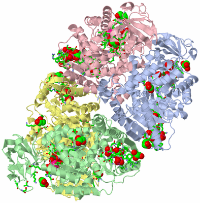 Image Biol. Unit 1 - sites