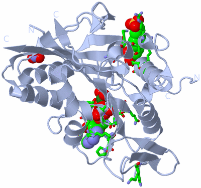 Image Biol. Unit 1 - sites