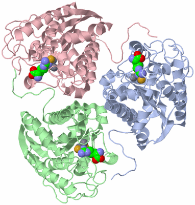 Image Asym./Biol. Unit