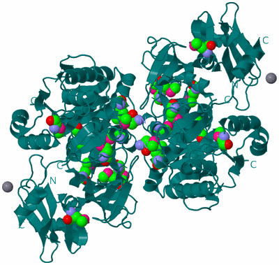 Image Biological Unit 1