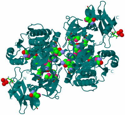 Image Biol. Unit 1 - sites