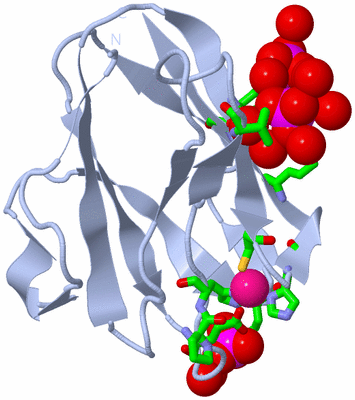 Image Biol. Unit 1 - sites