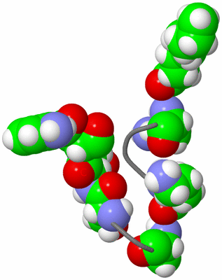 Image NMR Structure - model 1