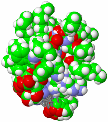 Image NMR Structure - all models