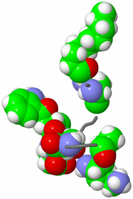 Image NMR Structure - model 1