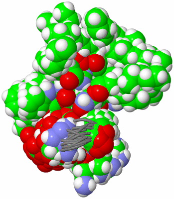 Image NMR Structure - all models