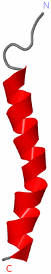 Image NMR Structure - model 1