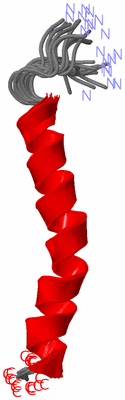 Image NMR Structure - all models