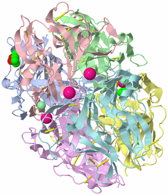 Image Biological Unit 1