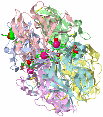 Image Biol. Unit 1 - sites