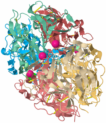 Image Biological Unit 2