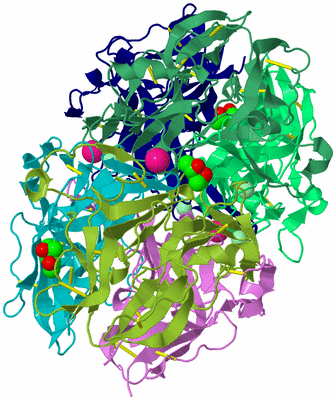 Image Biological Unit 3