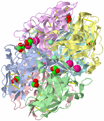 Image Asym./Biol. Unit