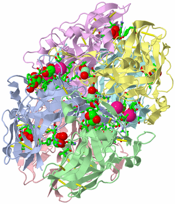 Image Asym./Biol. Unit - sites