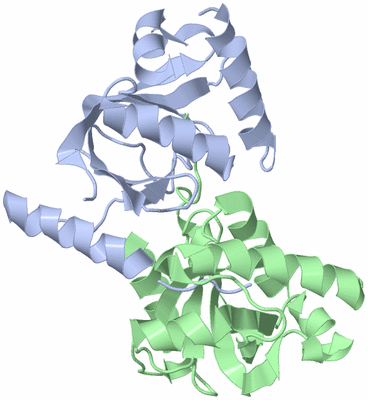 Image Asym./Biol. Unit