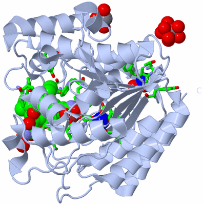 Image Biol. Unit 1 - sites