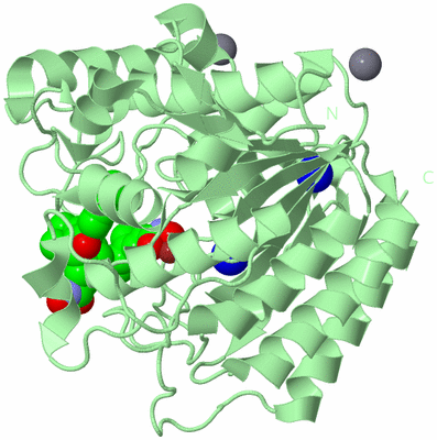 Image Biological Unit 2