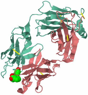 Image Biological Unit 1