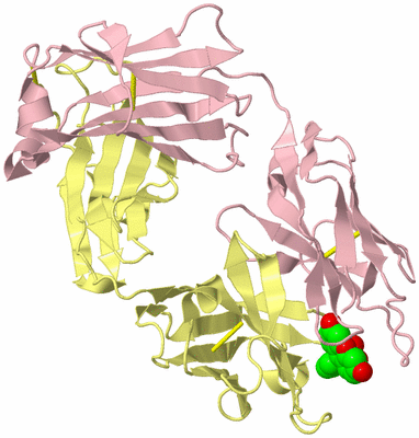 Image Biological Unit 2