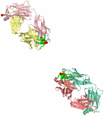 Image Asym. Unit - sites