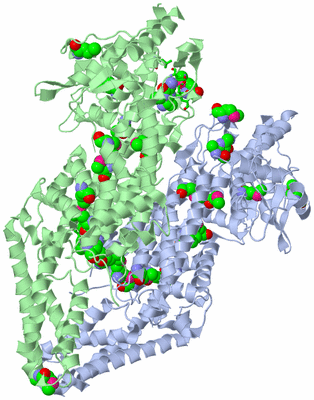 Image Asym. Unit - sites