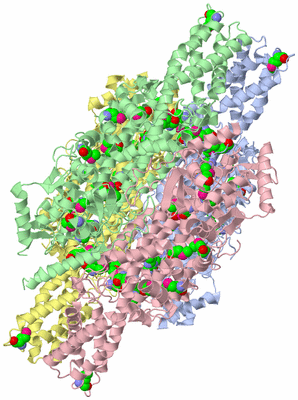 Image Biological Unit 1