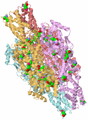 Image Biological Unit 2