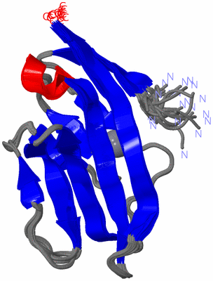 Image NMR Structure - all models