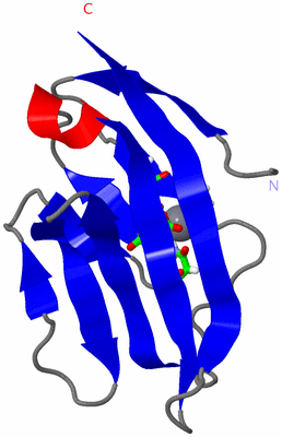 Image NMR Structure - model 1, sites