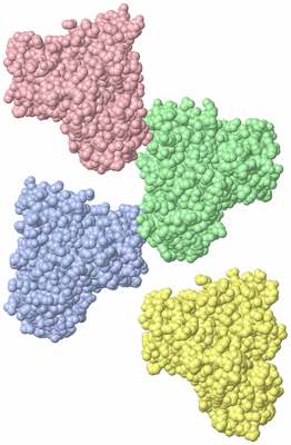 Image Asymmetric Unit