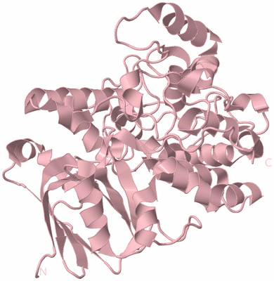 Image Biological Unit 3