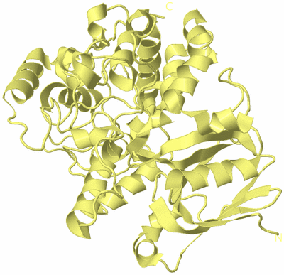 Image Biological Unit 4