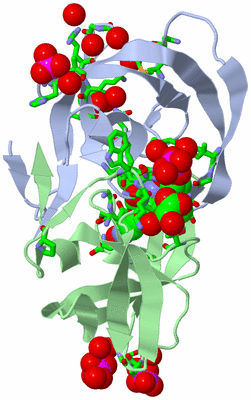 Image Asym./Biol. Unit - sites