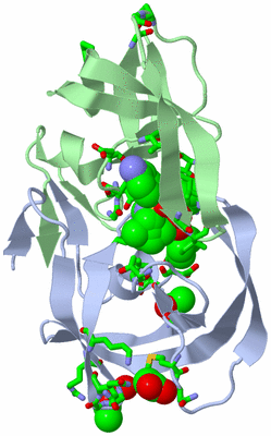 Image Asym./Biol. Unit - sites