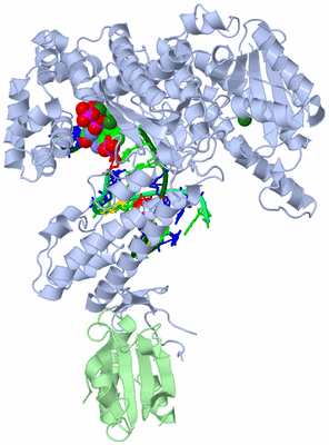 Image Asym./Biol. Unit