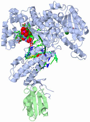 Image Asym./Biol. Unit - sites