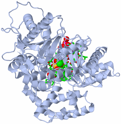 Image Biol. Unit 1 - sites