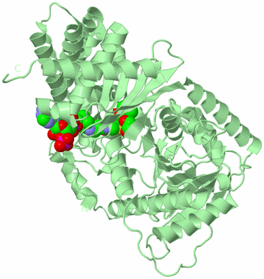 Image Biological Unit 2