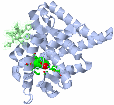 Image Asym./Biol. Unit - sites