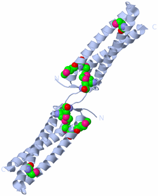 Image Biological Unit 3