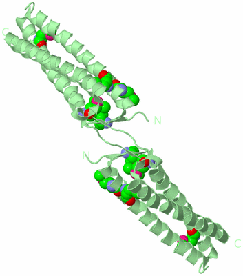 Image Biological Unit 4