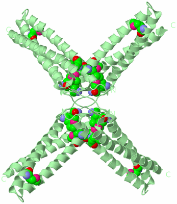 Image Biological Unit 5