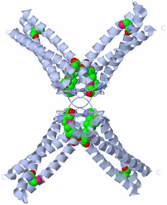 Image Biological Unit 6